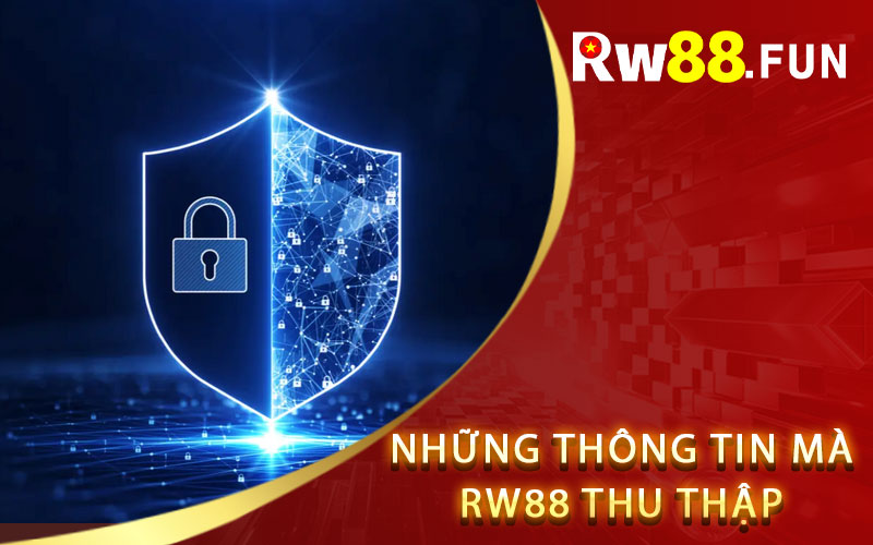 Những thông tin mà Rw88 thu thập