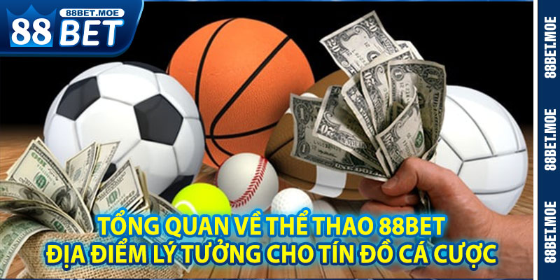 Tổng Quan Về Thể Thao 88BET – Địa Điểm Lý Tưởng Cho Tín Đồ Cá Cược